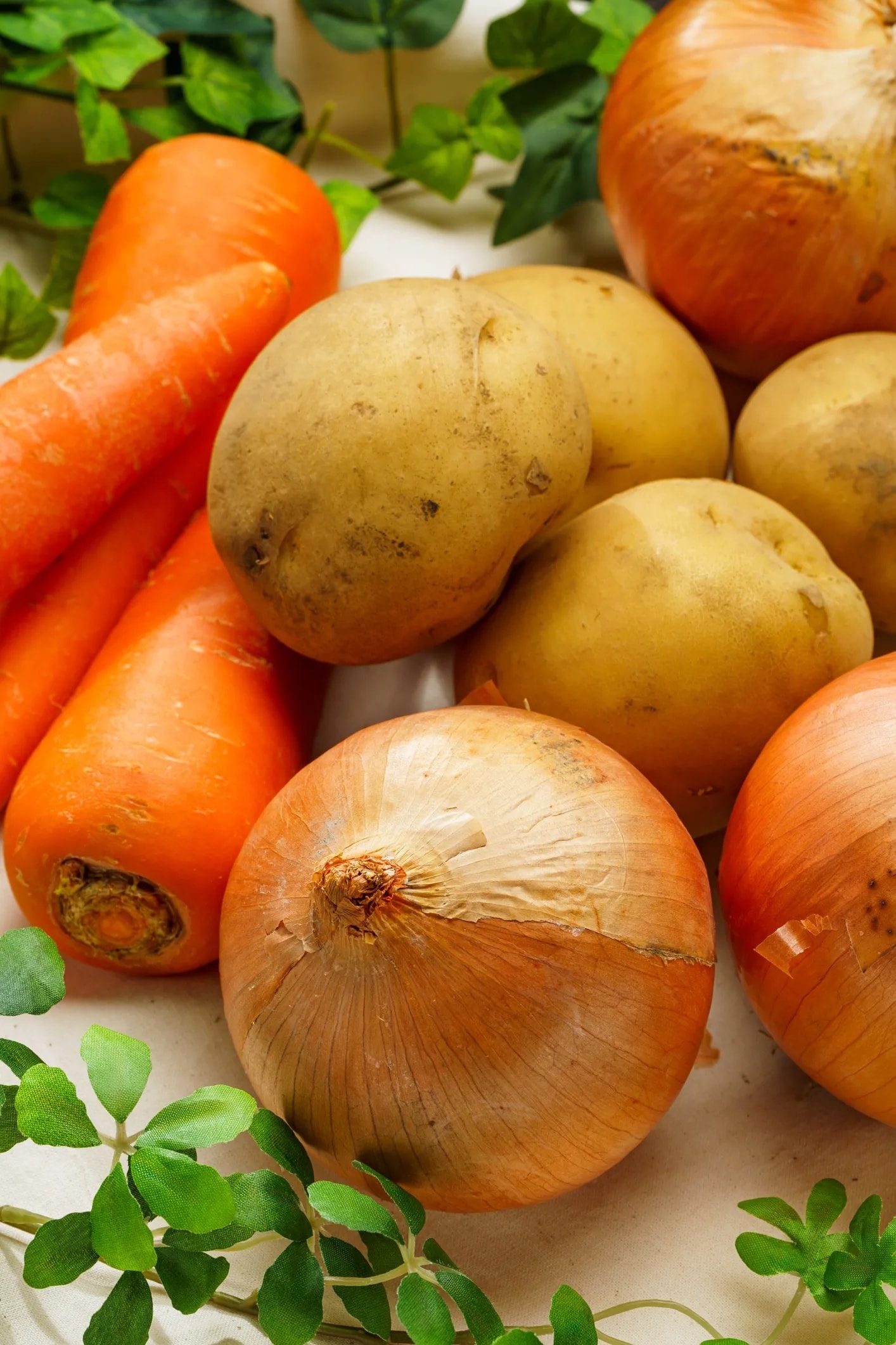 Fresh carrots, onions, and potatoes