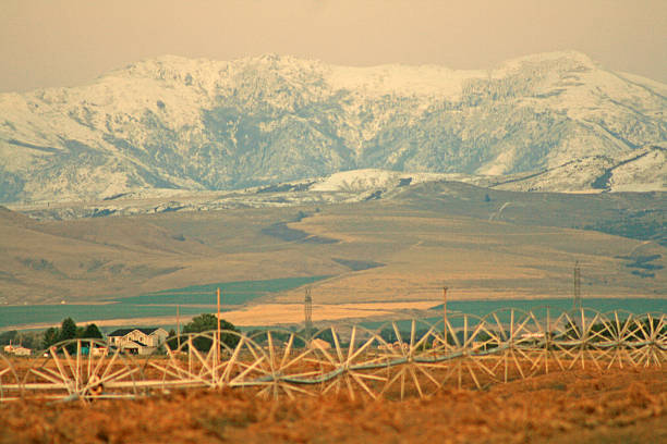 First snow on mountain ranges with patatoes field at foreground.